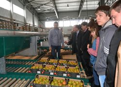 Співпраця університету з підприємствами регіону: перспективи розвитку